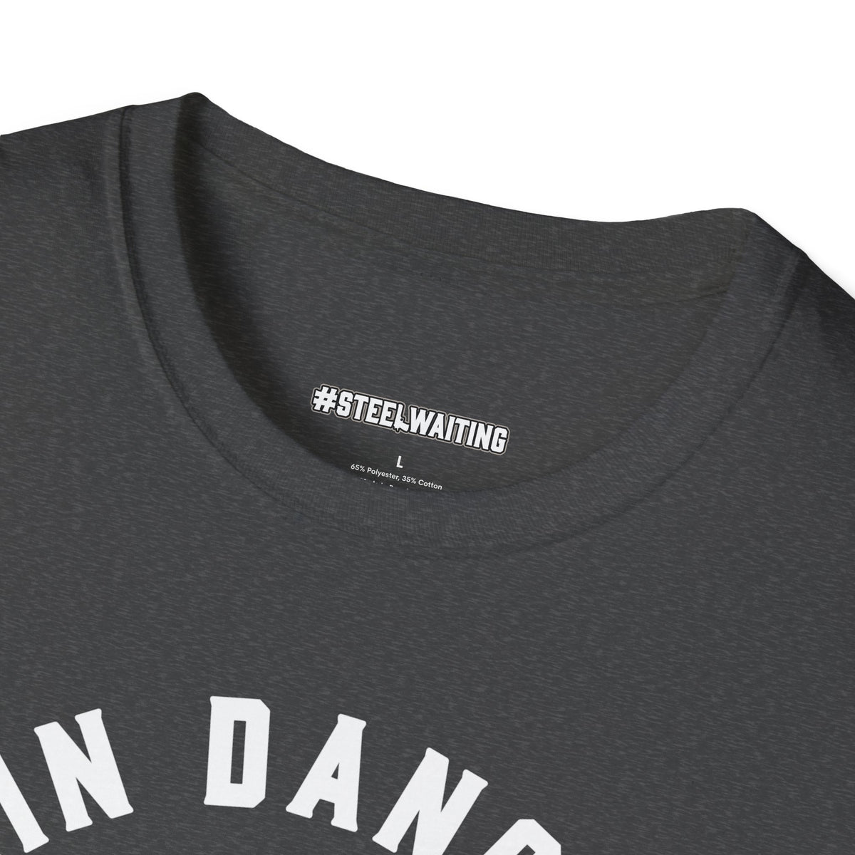 Remain Dangerous Skull & Snake T‑Shirt — #SteelWaiting Graphic Tee